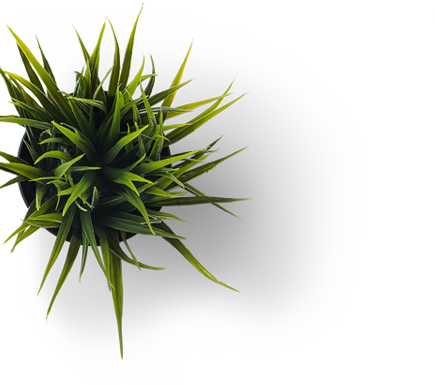 software graphic designer agency in kashmir